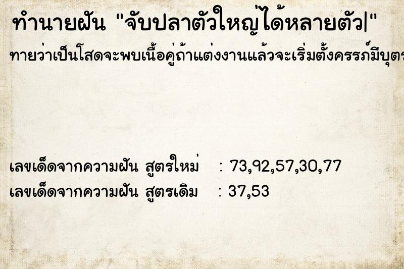 ทำนายฝันจับปลาตัวใหญ่ได้หลายตัว| ทำนายฝันทำนายฝันจับปลาตัวใหญ่ได้หลายตัว|